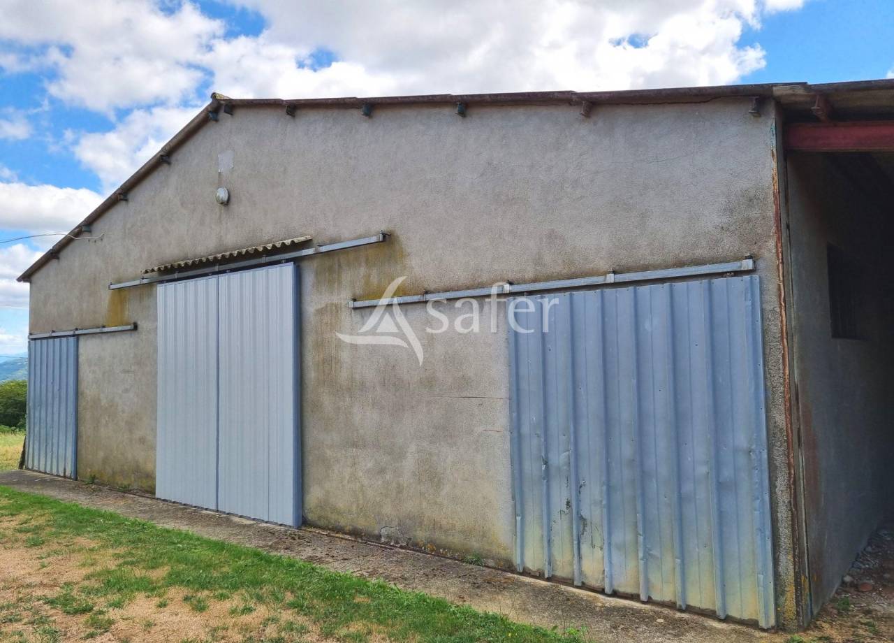 Landbouw bedrijf Koop Haute-Garonne
