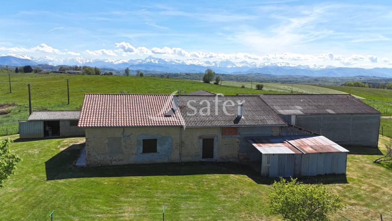 Landbouw bedrijf Koop Haute-Garonne