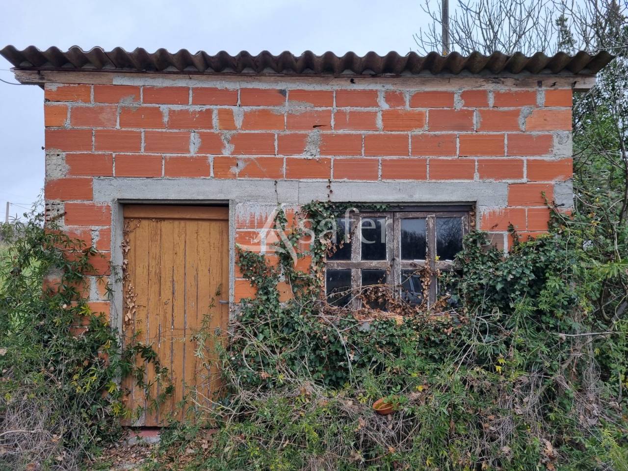 Landbouw bedrijf Koop Haute-Garonne