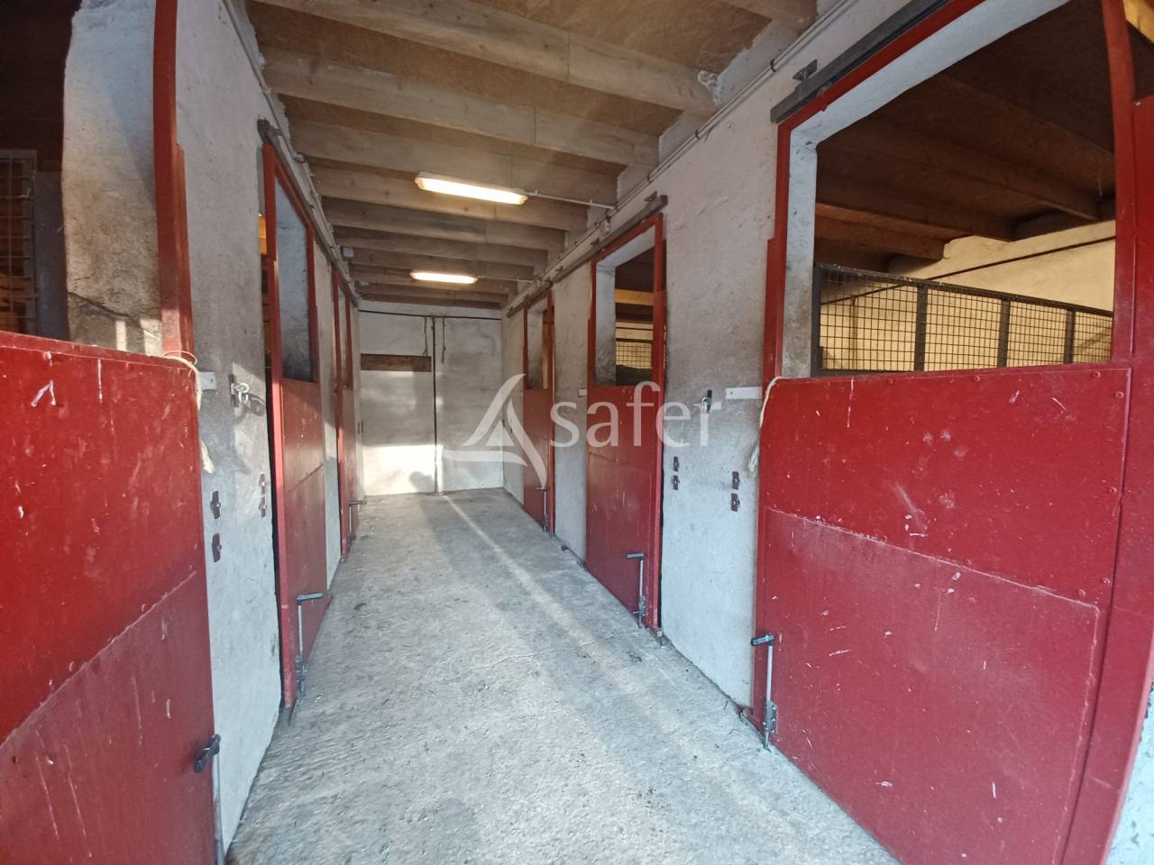Hippisch vastgoed Koop Charente