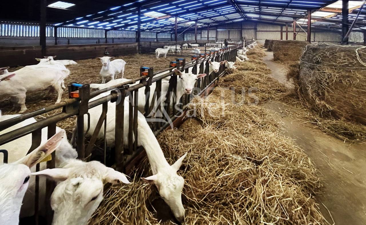 Landbouw bedrijf Koop Vend&eacute;e
