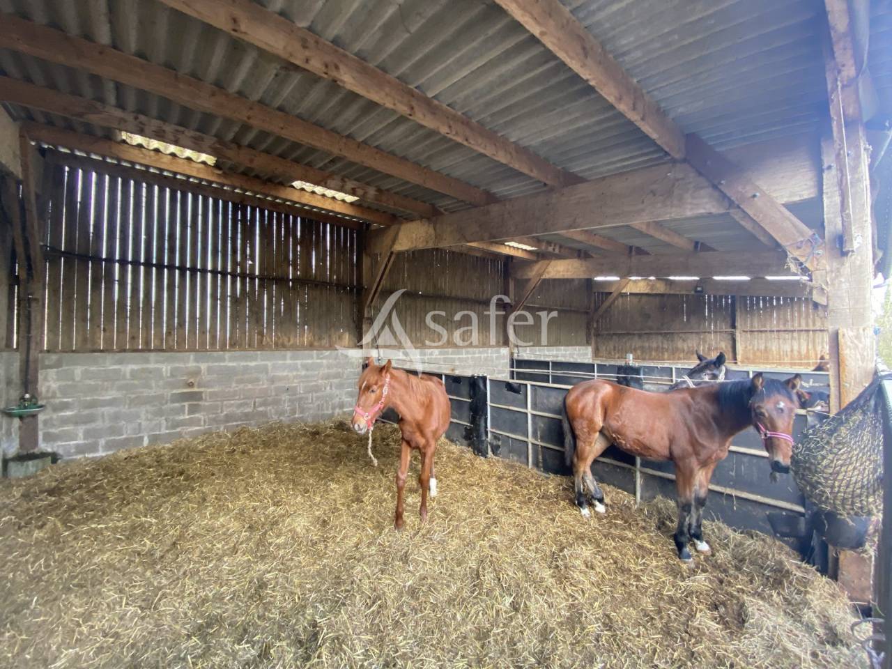 Hippisch vastgoed Koop Calvados