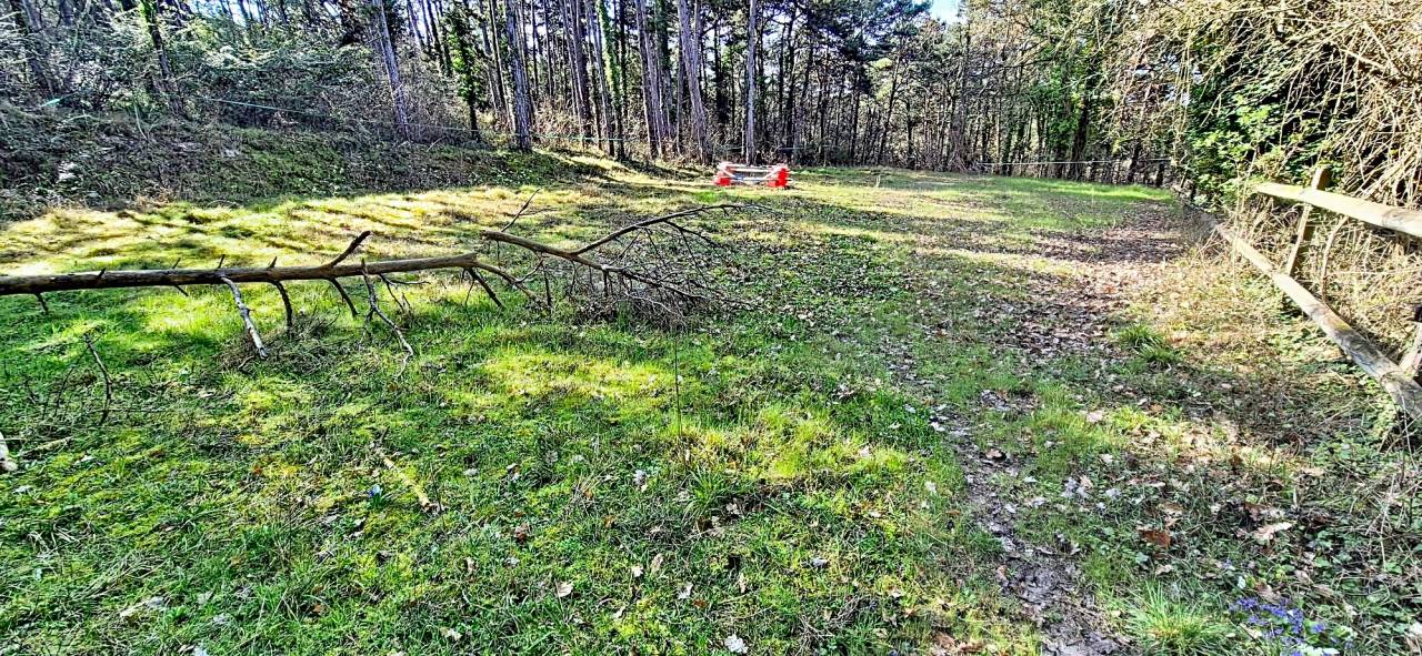 Hippisch vastgoed Koop Essonne