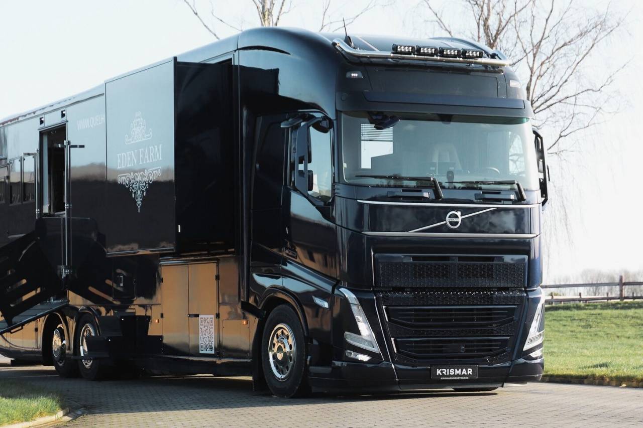 Zware paardenvrachtwagen (groot rijbewijs) Volvo  2022 Tweedehands