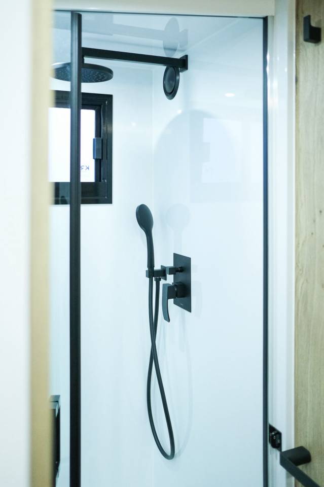 Zware paardenvrachtwagen (groot rijbewijs) Volvo  2022 Tweedehands