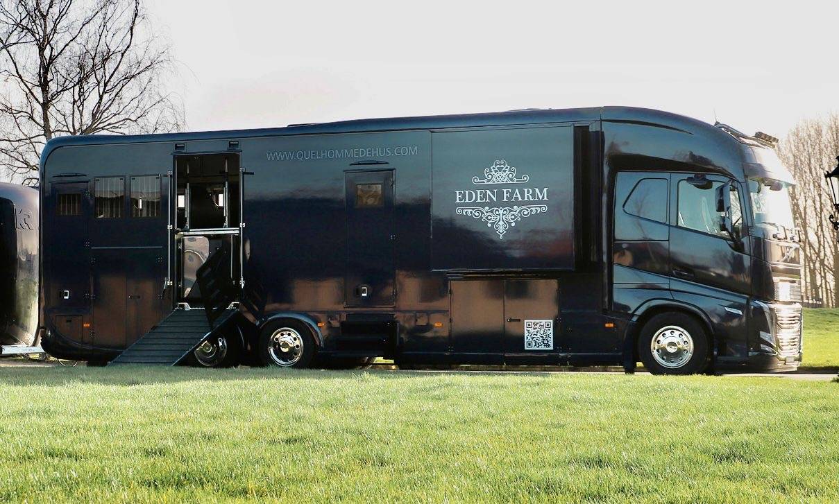 Zware paardenvrachtwagen (groot rijbewijs) Volvo  2022 Tweedehands