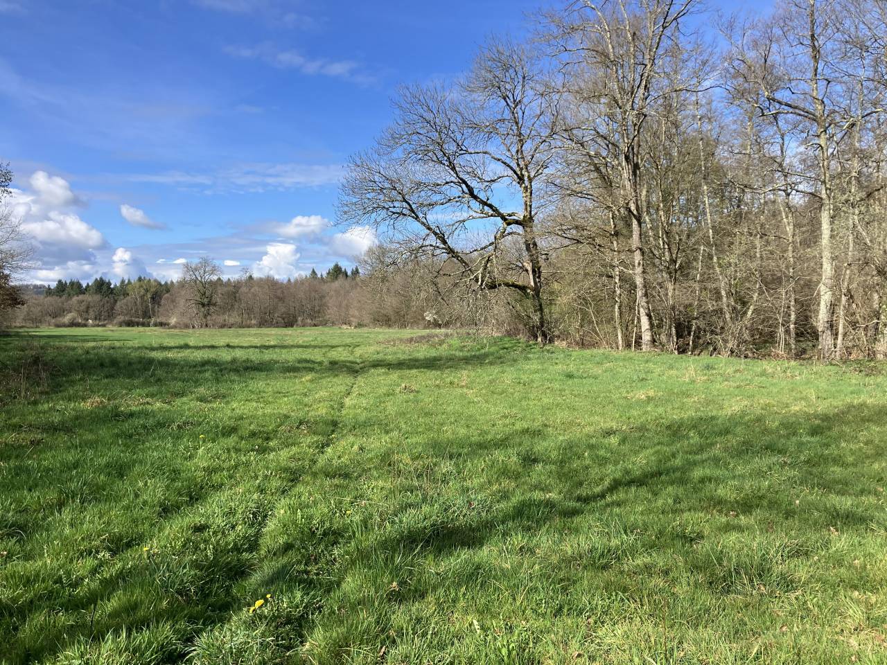 Ruiterclub Koop Puy-de-D&ocirc;me