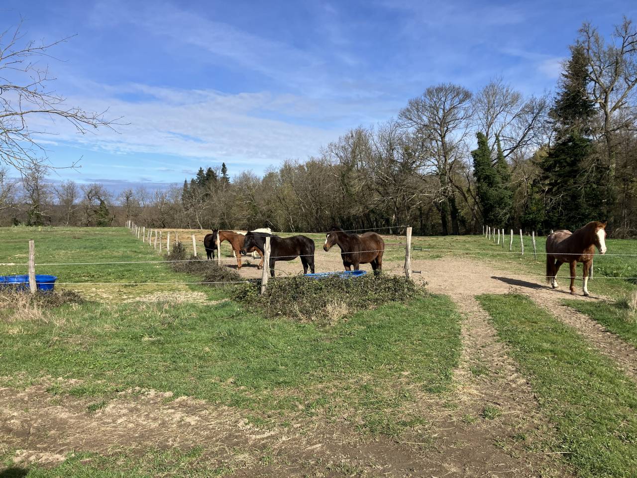 Ruiterclub Koop Puy-de-D&ocirc;me