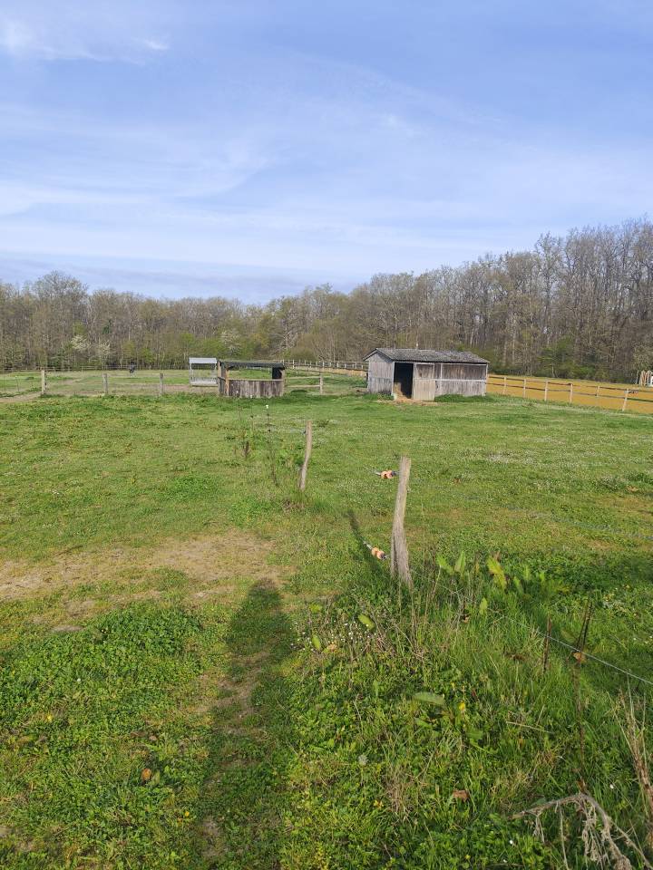 Eigenaren stal Koop Loir-et-Cher