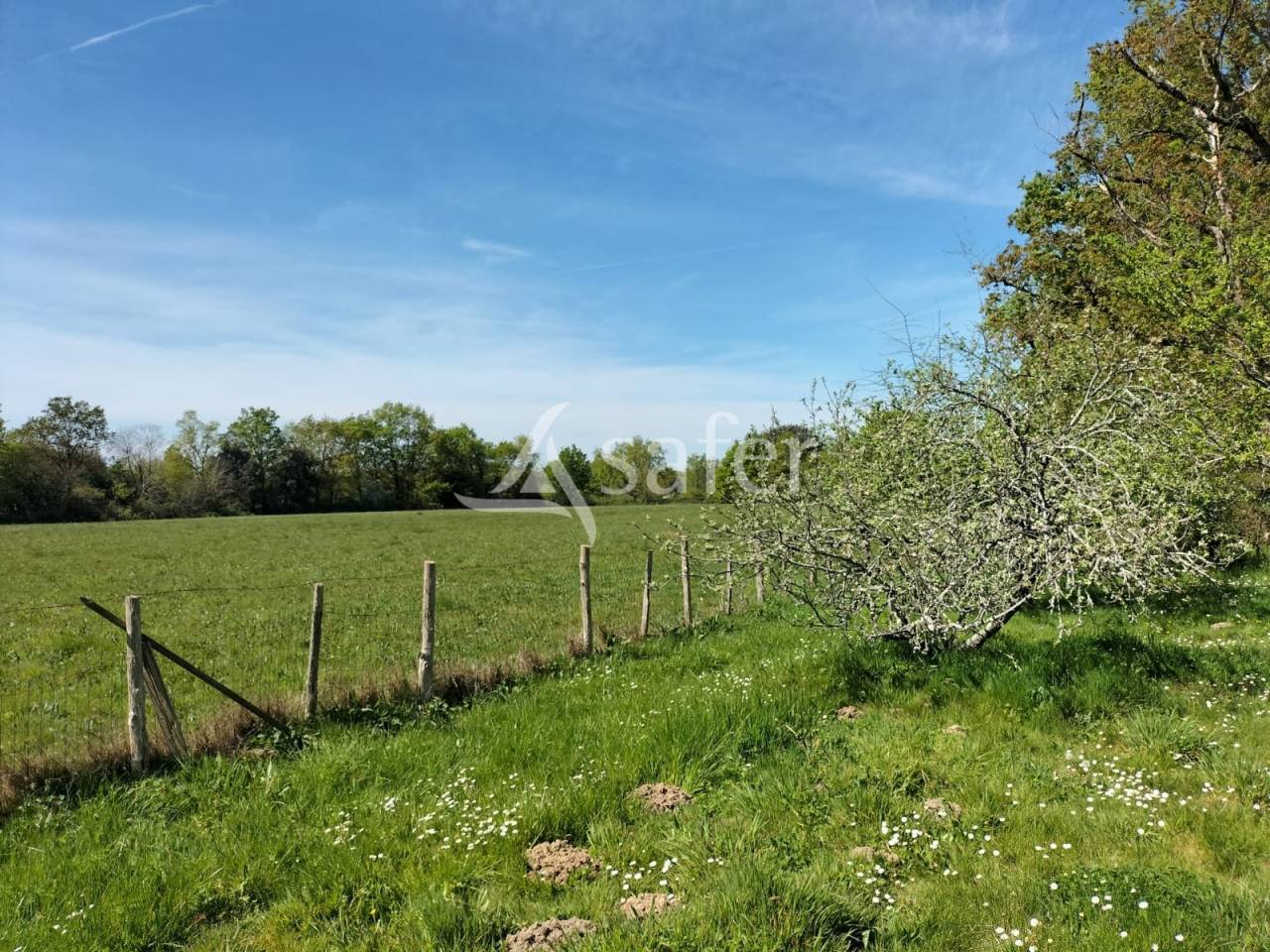 Landbouw bedrijf Koop Vend&eacute;e
