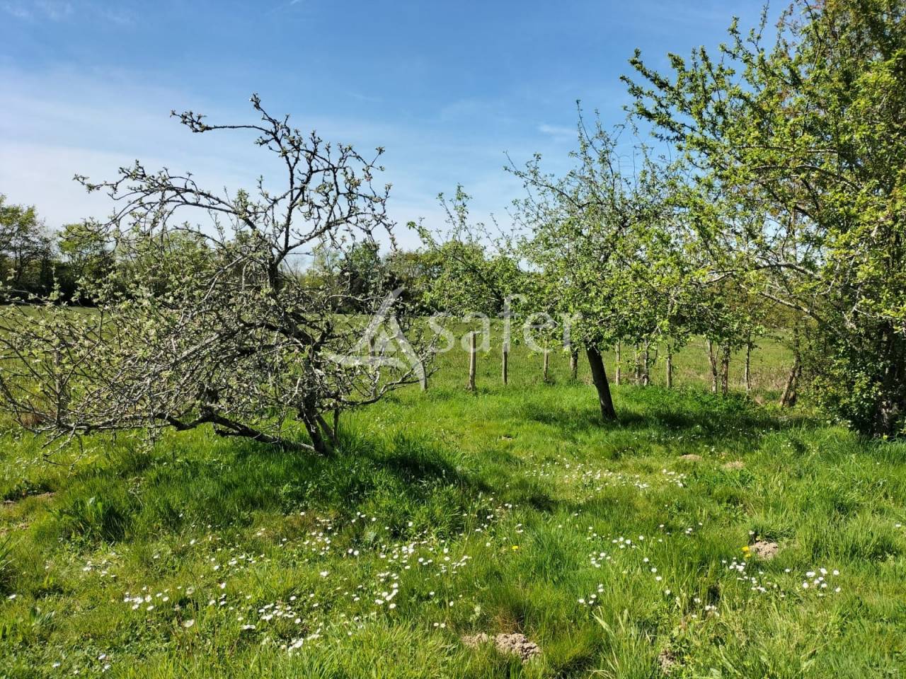 Landbouw bedrijf Koop Vend&eacute;e