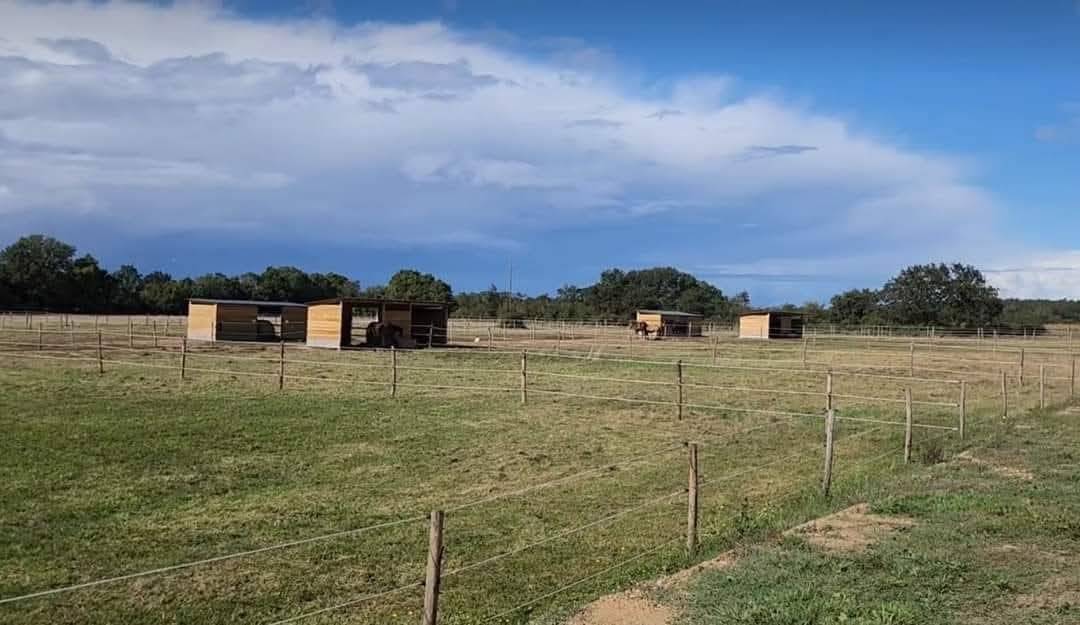 Hippisch vastgoed Koop Maine-et-Loire