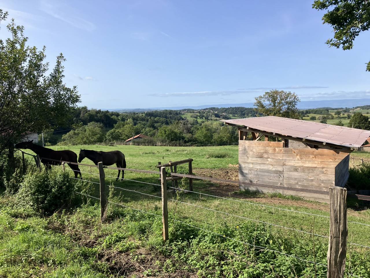 Paarden boerderij Koop Rh&ocirc;ne