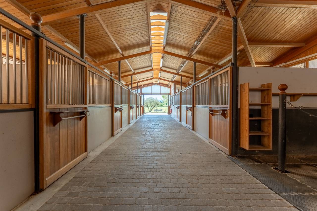 Mooi hippisch vastgoed Koop Vaucluse