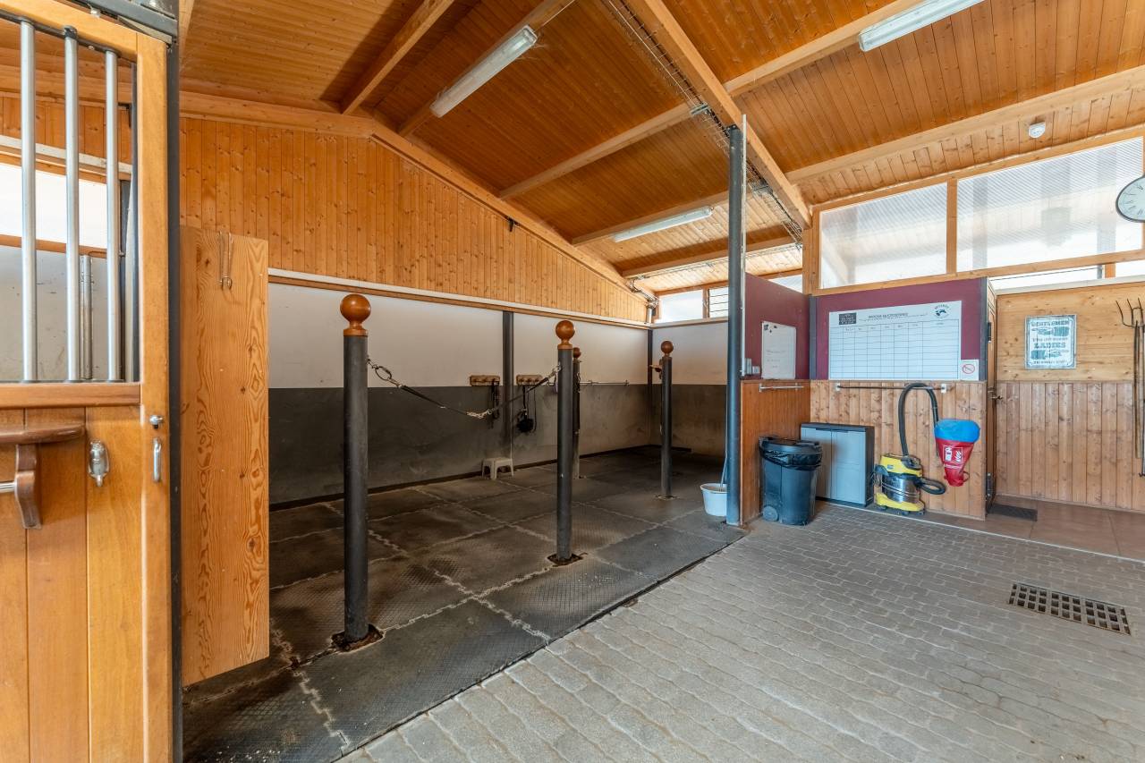 Mooi hippisch vastgoed Koop Vaucluse