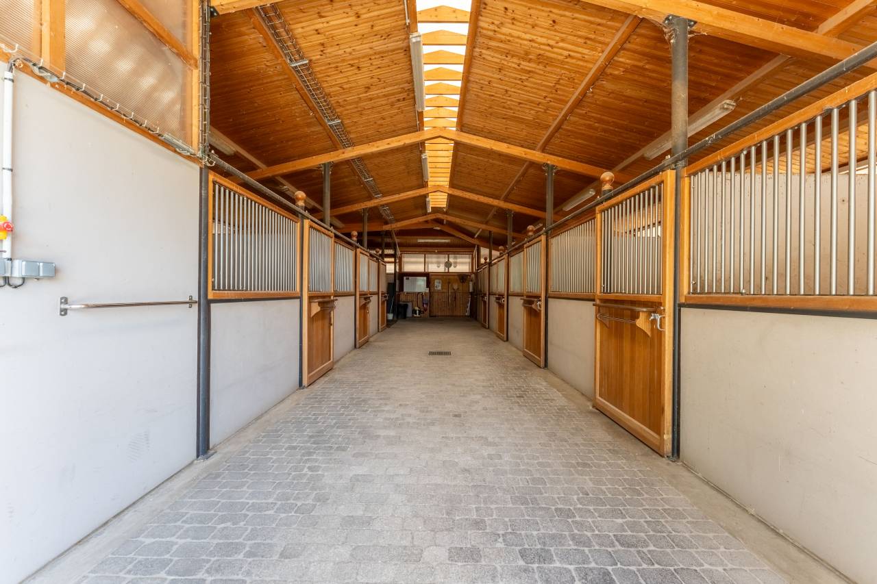 Mooi hippisch vastgoed Koop Vaucluse