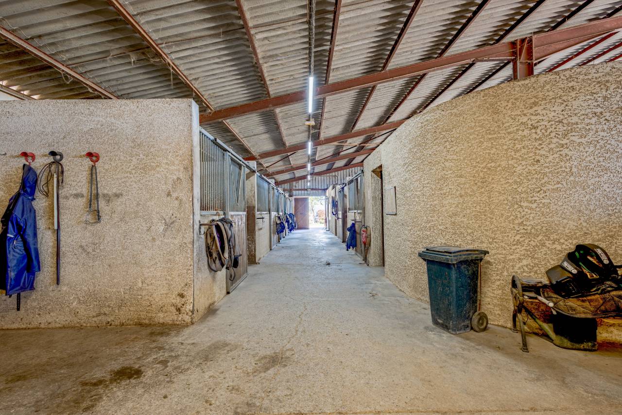Eigenaren stal Koop H&eacute;rault
