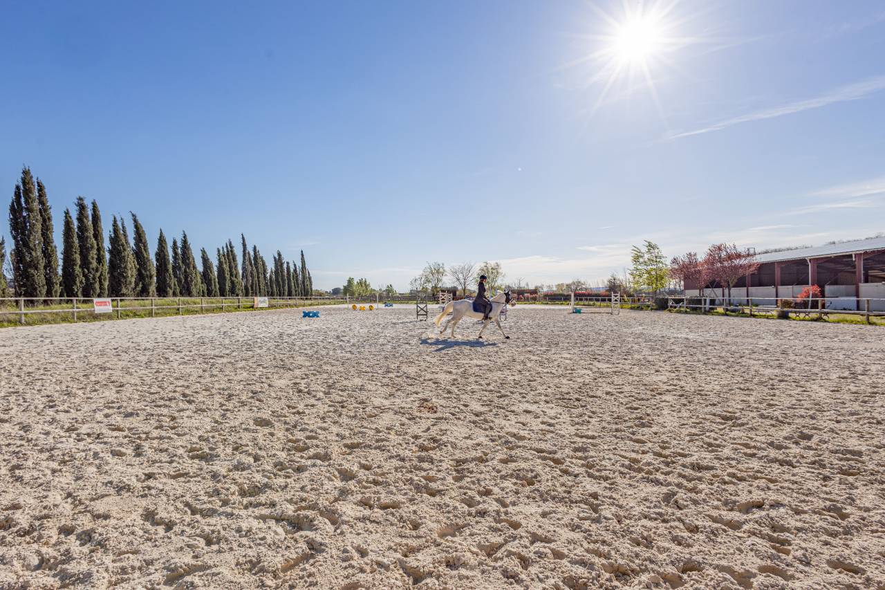 Eigenaren stal Koop H&eacute;rault