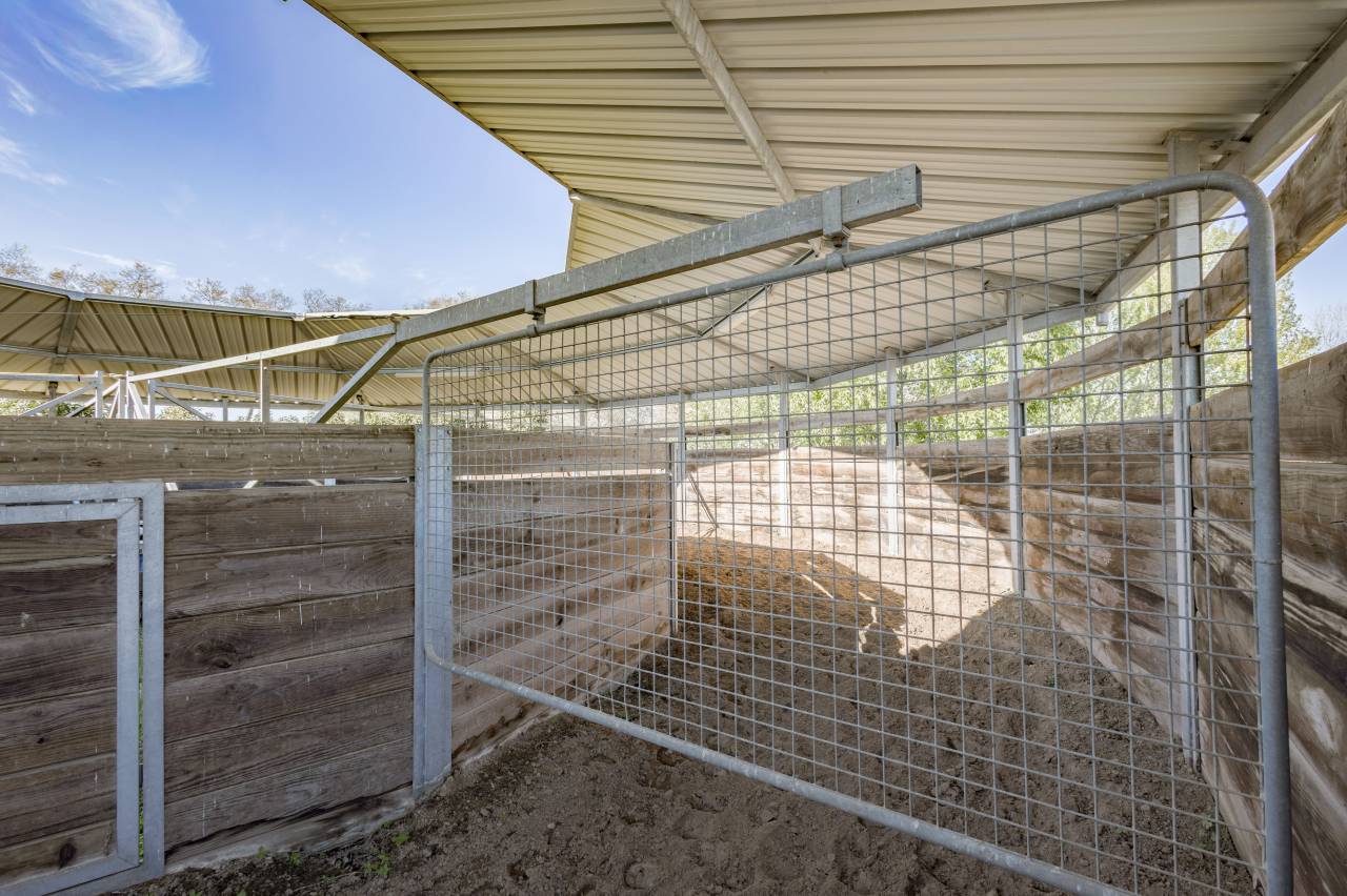 Eigenaren stal Koop H&eacute;rault