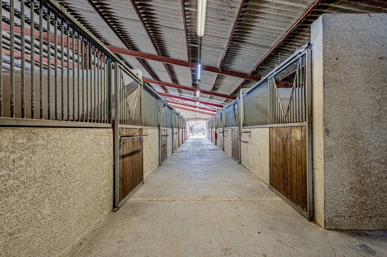 Eigenaren stal Koop H&eacute;rault