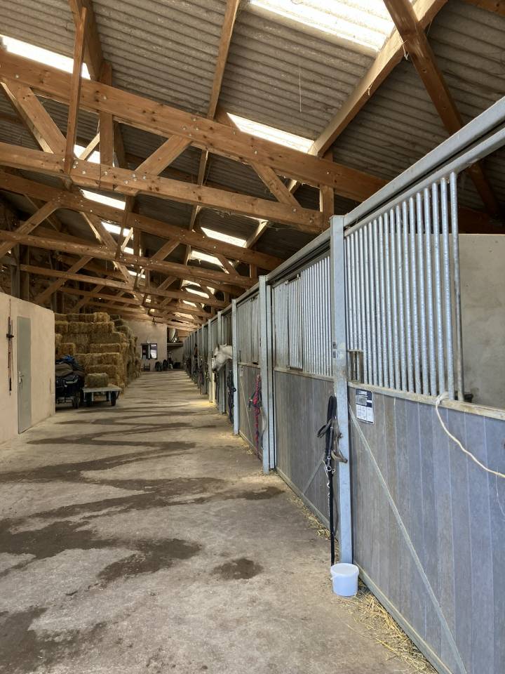 Stoeterij Koop Dr&ocirc;me