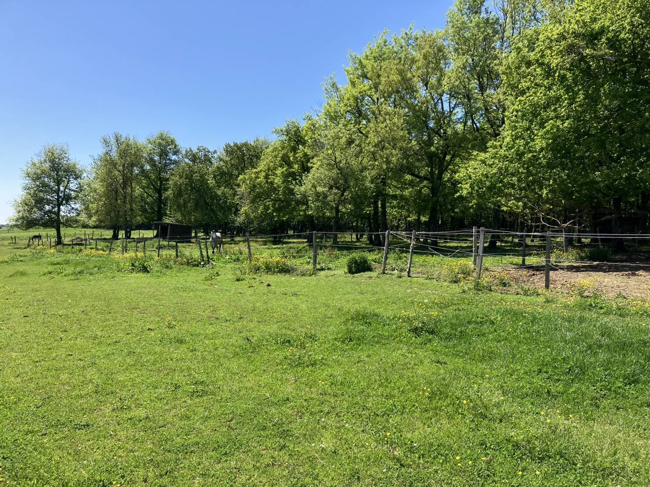 Stoeterij Koop Dr&ocirc;me