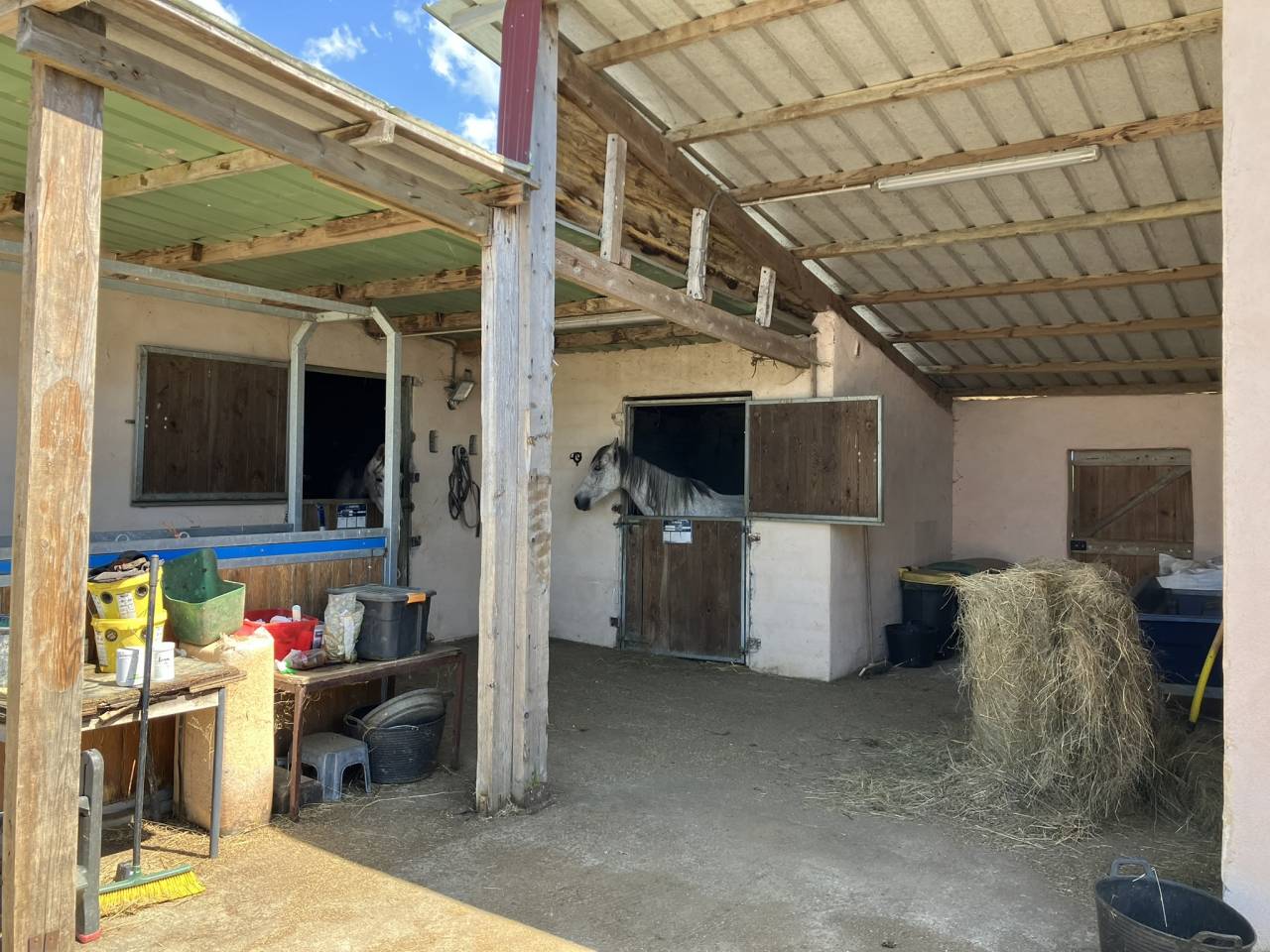 Stoeterij Koop Dr&ocirc;me