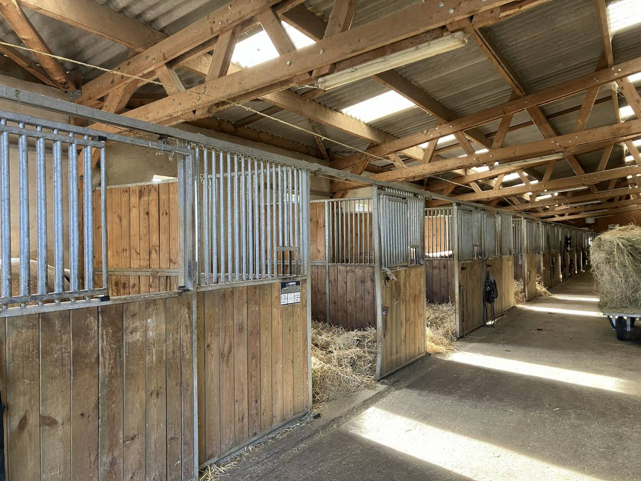 Stoeterij Koop Dr&ocirc;me