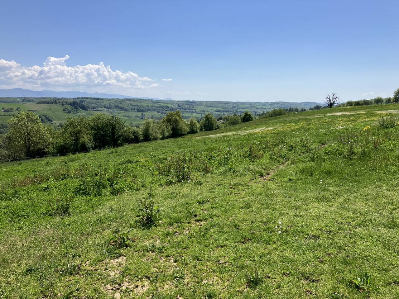 Stoeterij Koop Dr&ocirc;me