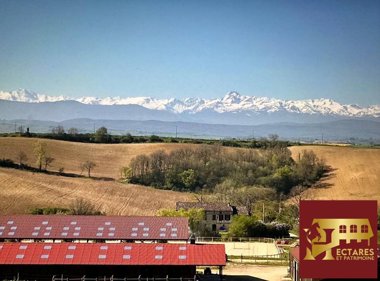 Stoeterij Koop Haute-Garonne