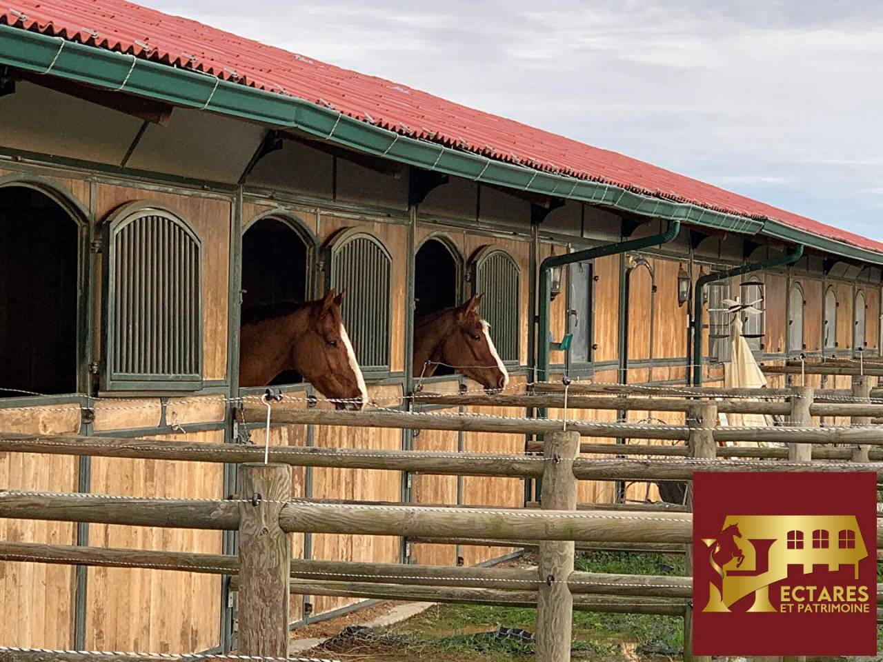 Stoeterij Koop Haute-Garonne