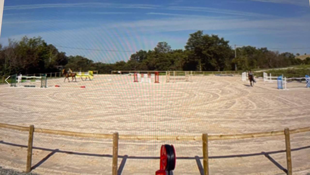 Stoeterij Koop Haute-Garonne