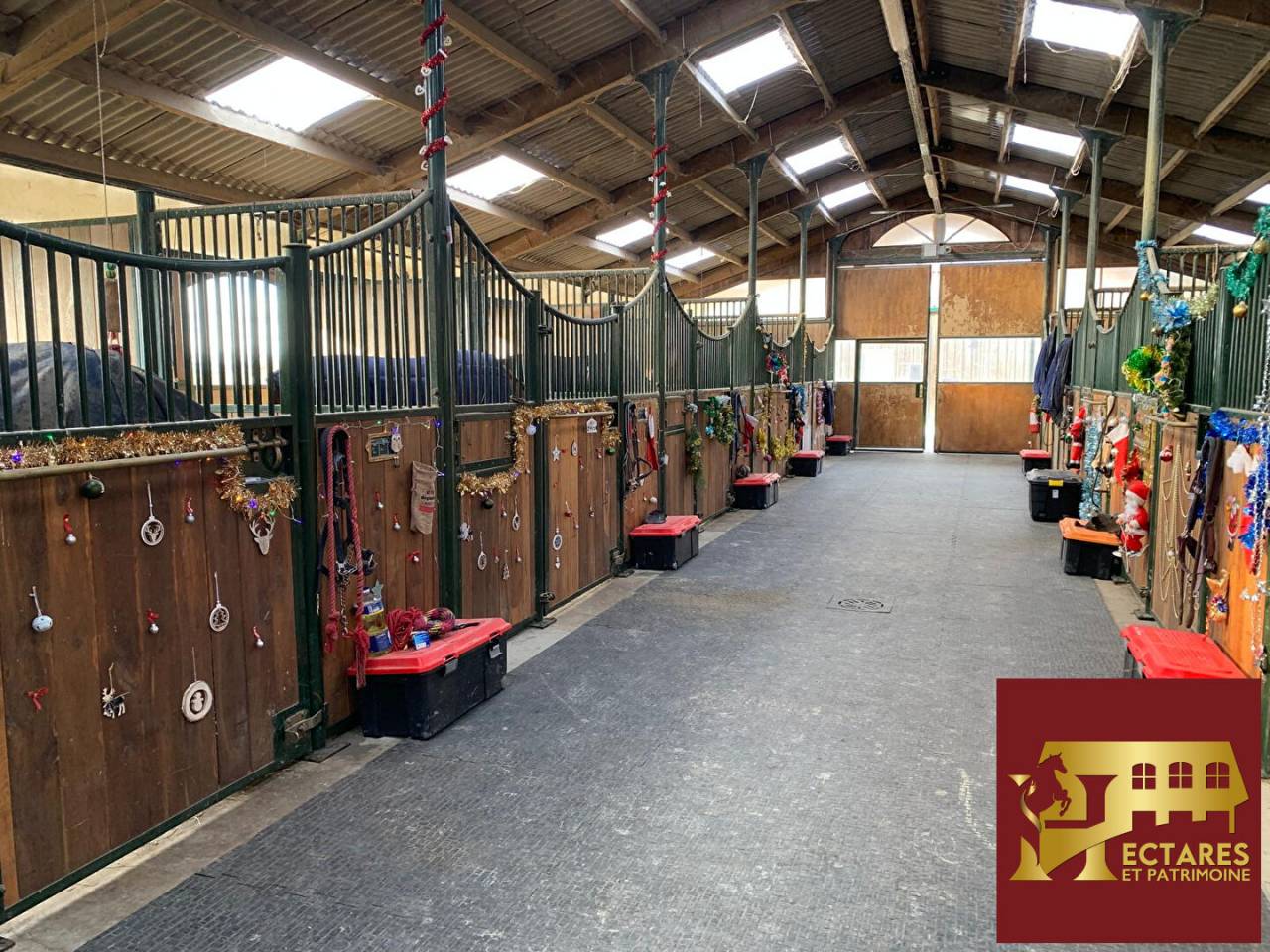 Stoeterij Koop Haute-Garonne