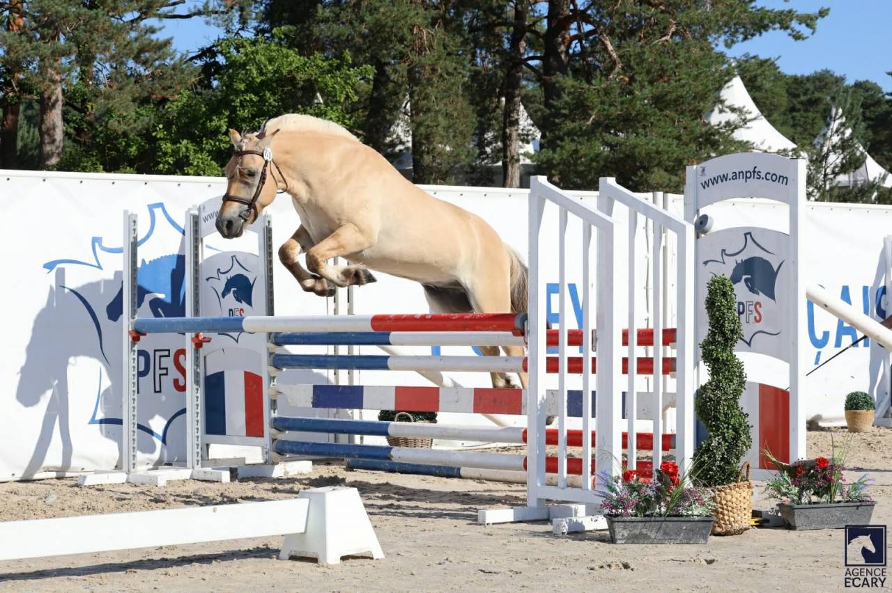 Ruin Fjord Te koop 2022 Isabel