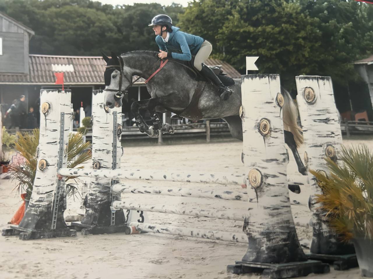 Merrie Selle Fran&ccedil;ais Te koop 2021 Schimmel ,  KAP KENNEDY